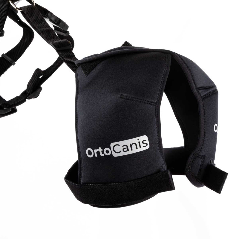 Hipster rehabilitation brace sales