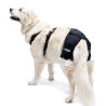 Support for dog with hip osteoarthritis