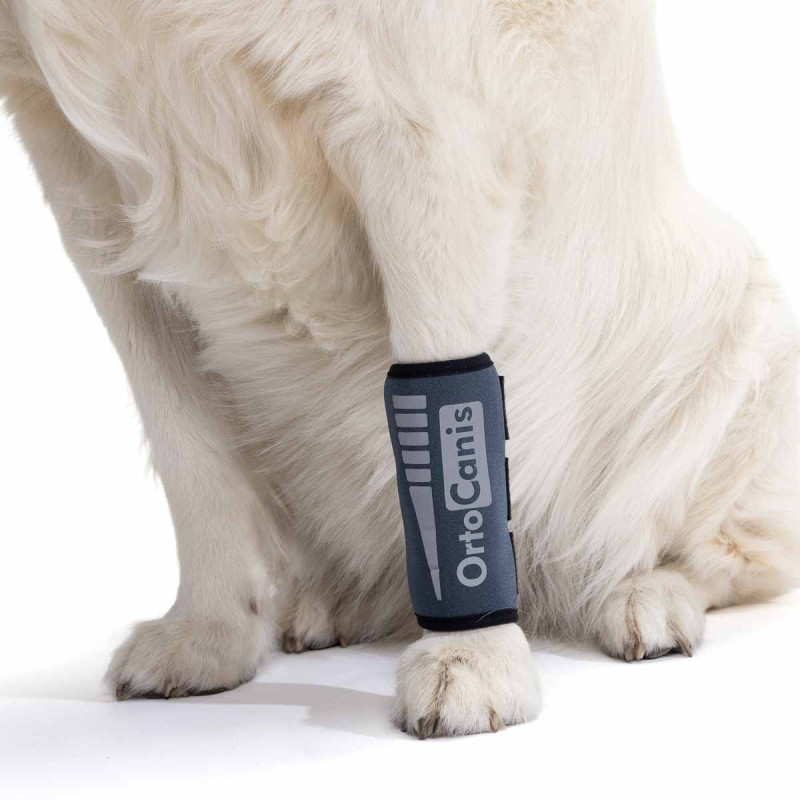 acquistare Protettore carpo - Protettori articolari per cani