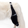 Knee brace for dog with ligament injury