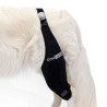 buy Knee immobilizer for dogs - Hindlimb