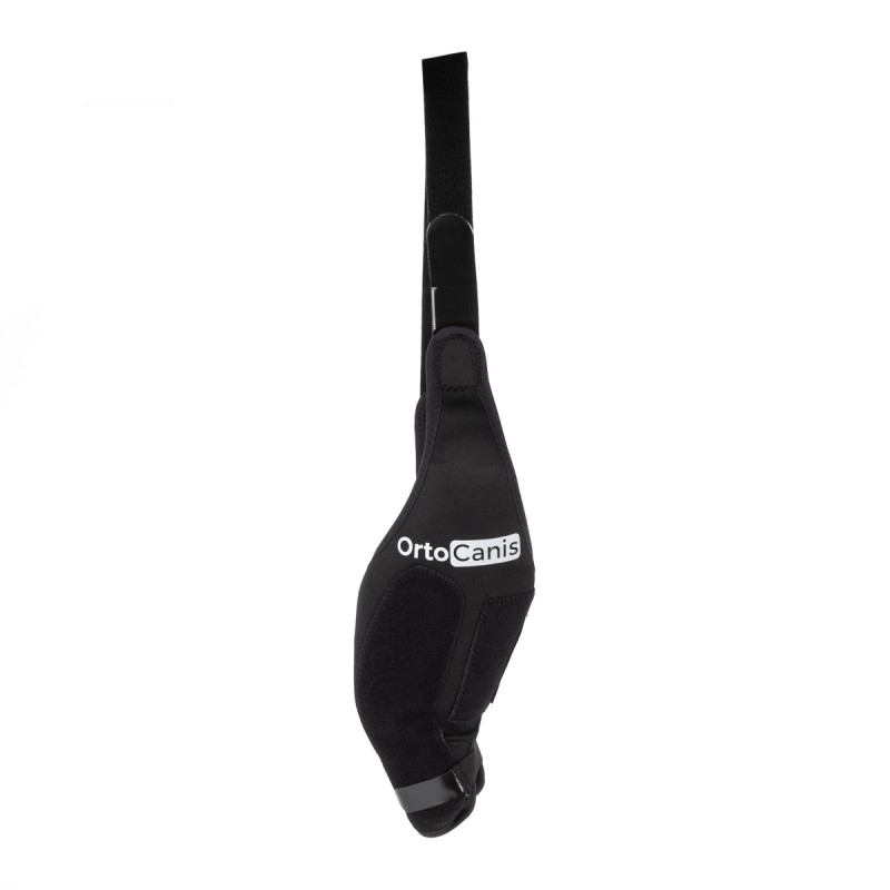 Ortocanis deals knee brace
