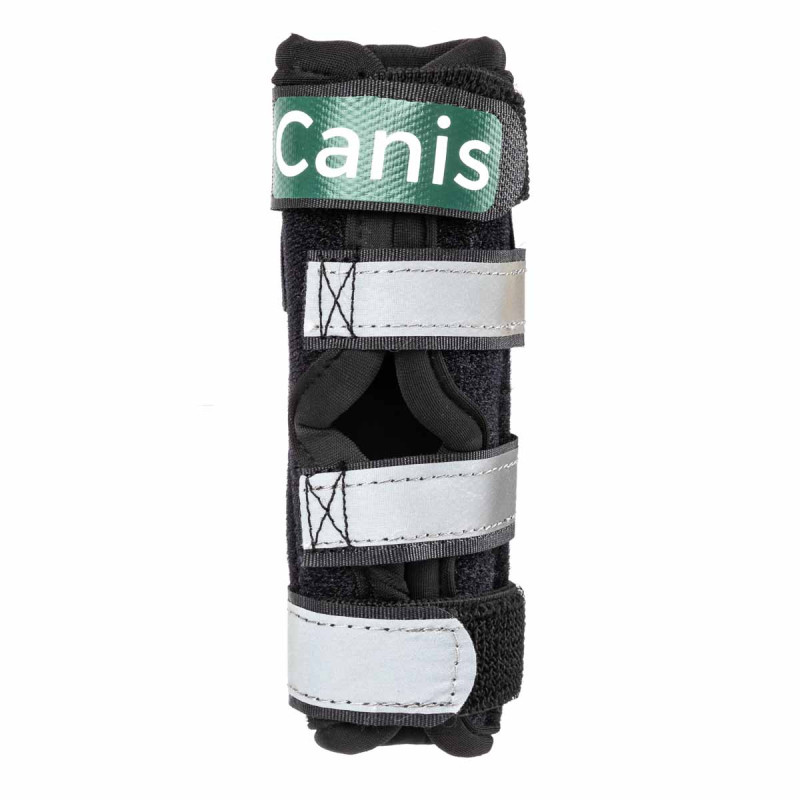Tarsus support with splints for dogs