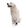 buy Weights for muscle strengthening in dogs - Rehabilitation