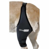 구입하다 Dog Knee Brace - Technical assistance