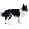 buy Dog Knee Brace - Technical assistance