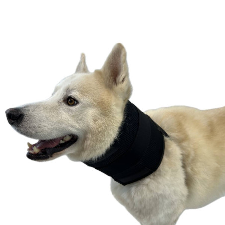 Dog bandages for neck deals