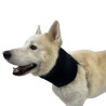 Collier d'immobilisation cervicale pour chiens