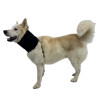 Collier d'immobilisation cervicale pour chiens