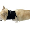 Collar for wound protection