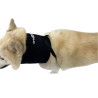 Collier d'immobilisation cervicale pour chiens