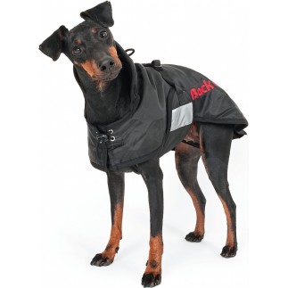 Abrigo térmico impermeable perros Back on Track