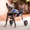 acheter Accessoire pour fauteuil roulant pour jambe d'amputé - Auto-ajustement des accessoires de fauteuil roulant