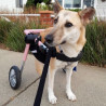 buy Amputated leg wheelchair accessory - Dog Wheelchair Accessories