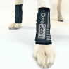 comprar Muñequera para perro - Protectores articulares