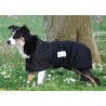 Coperta per cani