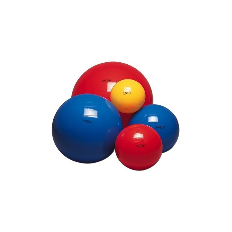 buy Exercise ball - Rehabilitation