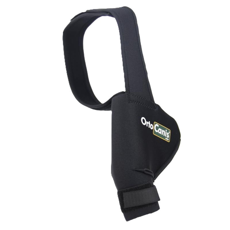 구입하다 Custom Knee Brace for Dogs - 맞춤형 관절 보호