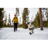 comprar Bota de Inverno para Cão - Ajuda técnica