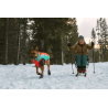 buy Polar Trex dog boot - Technical assistance