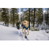 comprar Bota de Inverno para Cão - Ajuda técnica