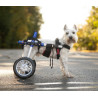acheter Chariot roulant réglable pour chien - Acheter