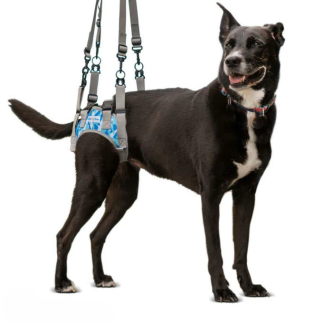 buy Dog Lift Harness - Harnesses