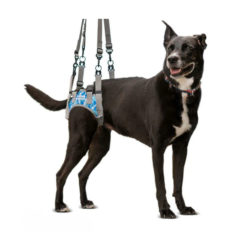 comprar Arnés para posteriores compatible - Arnés para perro