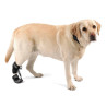 buy Boot for Toe Up sling - Boots