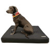 acquistare Letto ortopedico per cani - Supporti tecnici