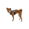 buy Load Up harness - Technical assistance