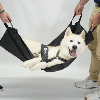 comprar Dog Help - Produtos Adicionais