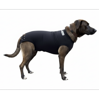 comprar Nuevo Body protector canino - Vendajes