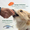 comprar Suplemento nutricional para las articulaciones del perro - Accesorios