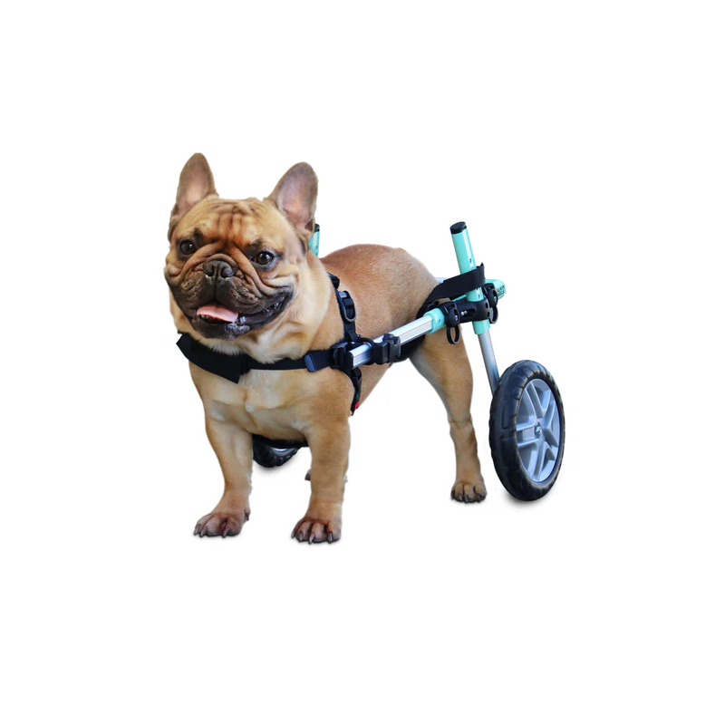 acheter Chariot roulant réglable pour chien - Acheter