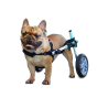 acquistare Carrello per cani disabili autoregolabile - Acquistare
