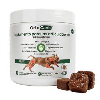 comprar Suplemento condroprotector para las articulaciones del perro - Inicio