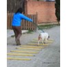 buy Plastic poles for rehabilitation - Rehabilitation circuits / Agility