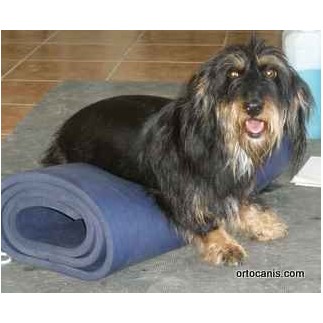Airex tapis pour la thérapie manuelle