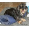 buy Airex exercise mat - Rehabilitation