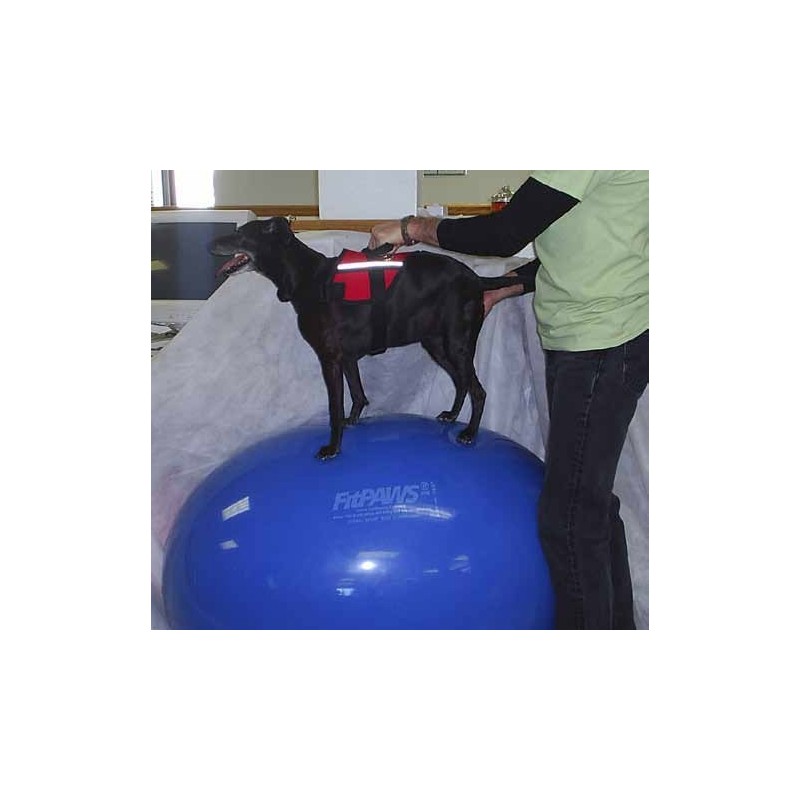 acquistare Palla da ginnastica ovale FitPaws - Productos adicionales