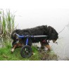 Chariot roulant pour chien