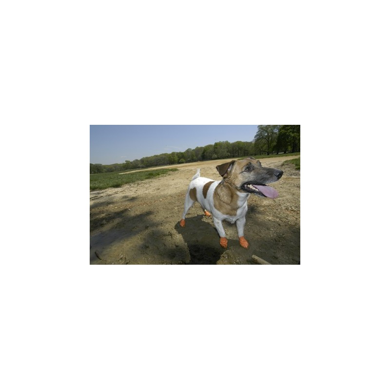 Calzature in gomma Canine