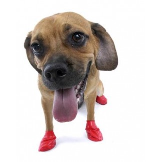Calçado canino de borracha