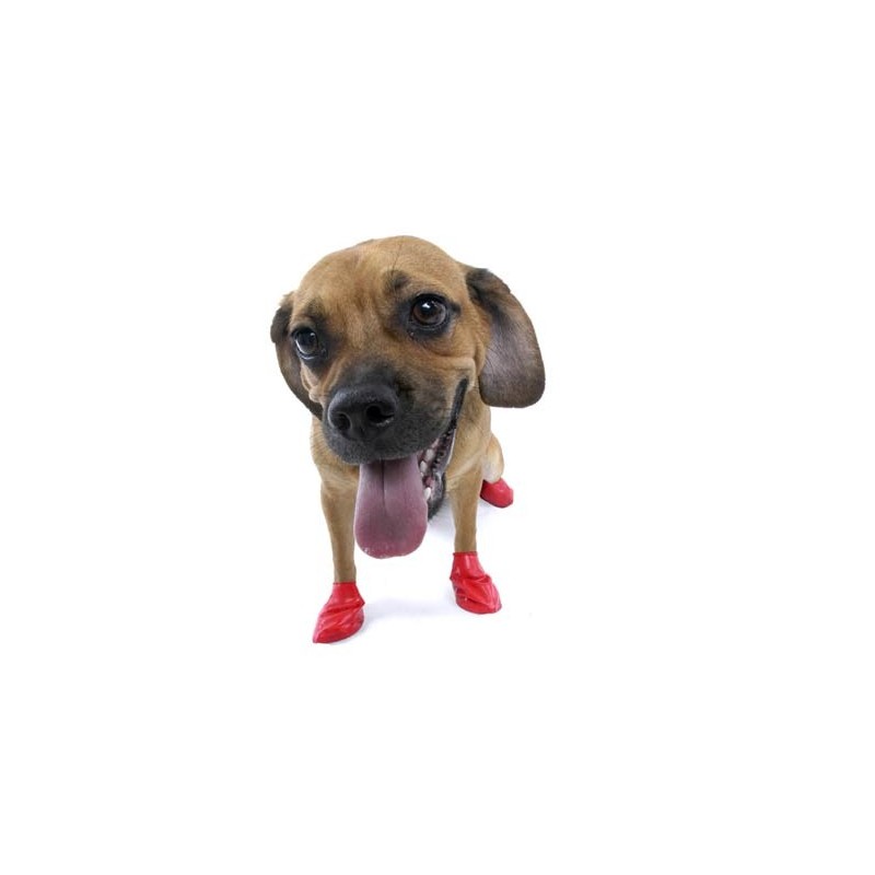 Pawz Gummistiefel für Hunde