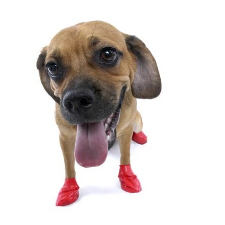 Rubber boots for dogs hotsell