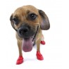 Calzado canino de goma