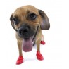 Canine rubber footwear