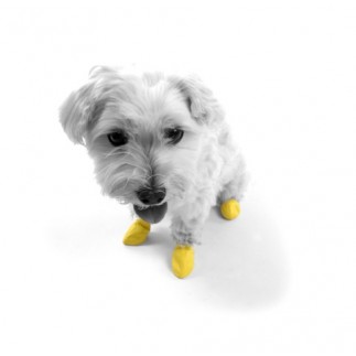 Calzado canino de goma