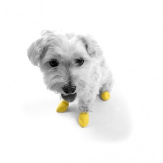 Gummischuhe Hunde